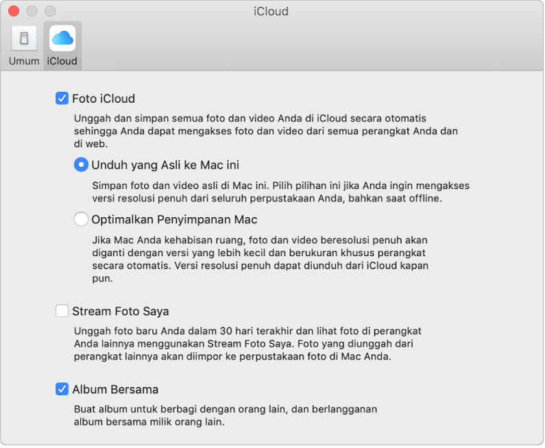 Panel iCloud pada preferensi Foto.