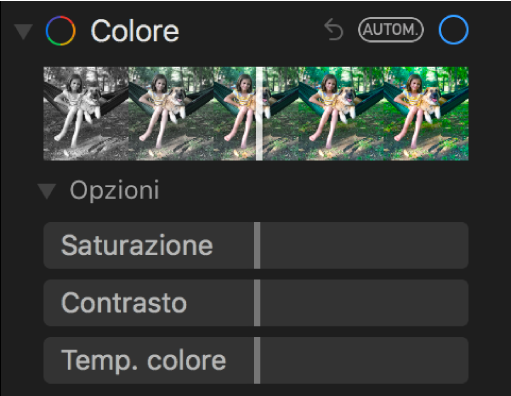L’area Colore del pannello Regola con i cursori Saturazione, Contrasto e “Temp. colore”.