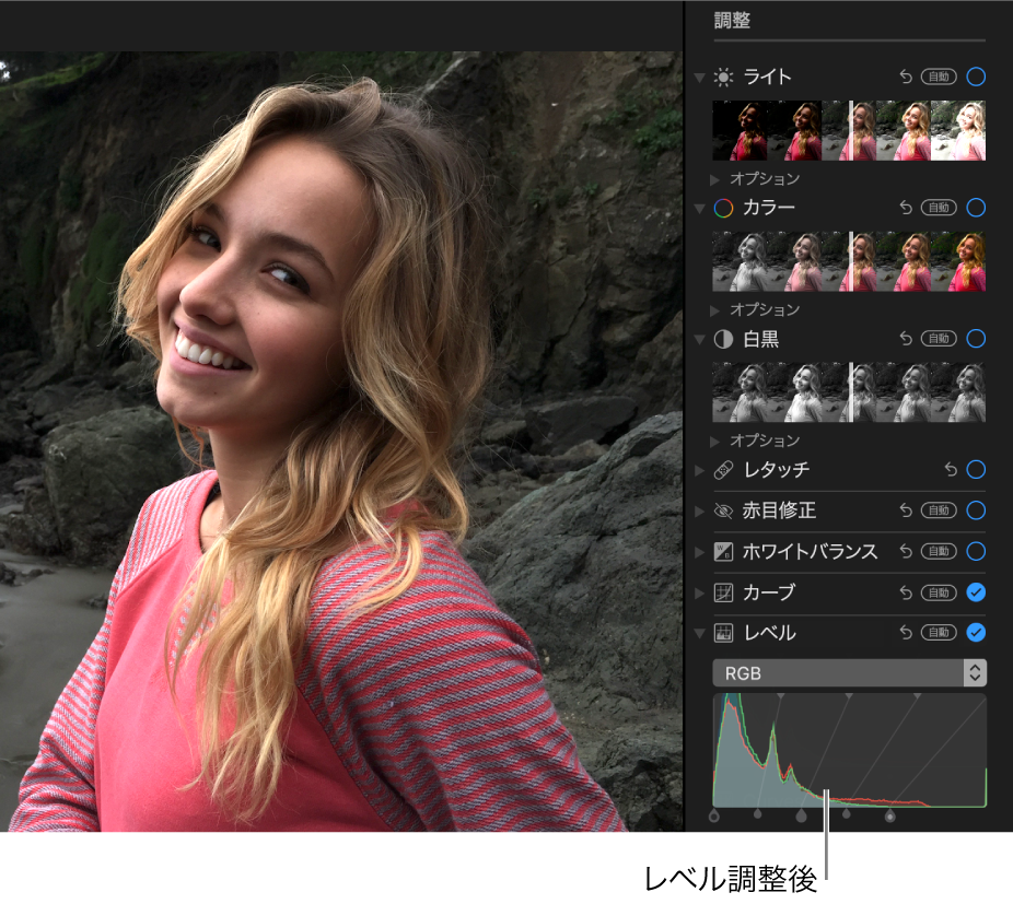 レベル調整後の写真。