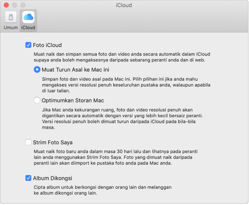 Anak tetingkap iCloud pada keutamaan Foto.