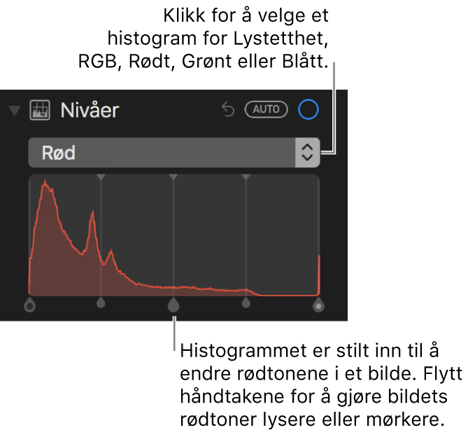 Nivåkontroller og histogram for å endre rødfarger i et bilde.