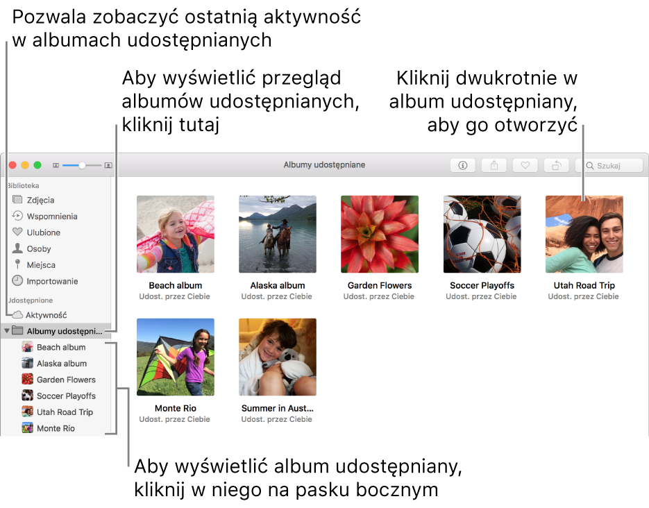 Panel Albumy udostępniane w oknie aplikacji Zdjęcia zawierający albumy udostępniane.