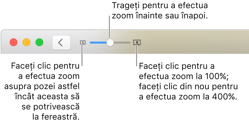 Bara de instrumente afișând comenzile de zoom.