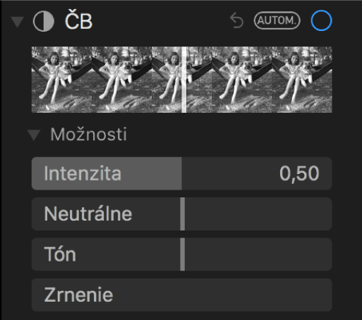 Oblasť ČB na paneli Úpravy zobrazujúca posuvníky pre nastavenia Intenzita, Neutrálne, Tón a Zrnenie.