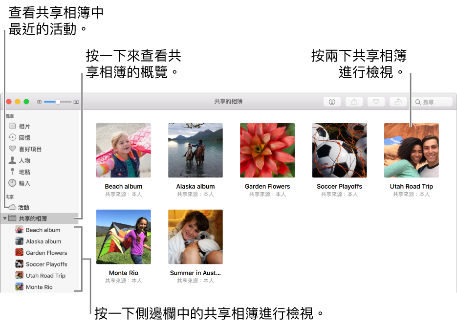 「相片」視窗的「共享的相簿」面板，顯示共享的相簿。