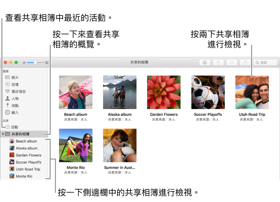 「照片」視窗的「共享的相簿」面板，顯示共享的相簿。
