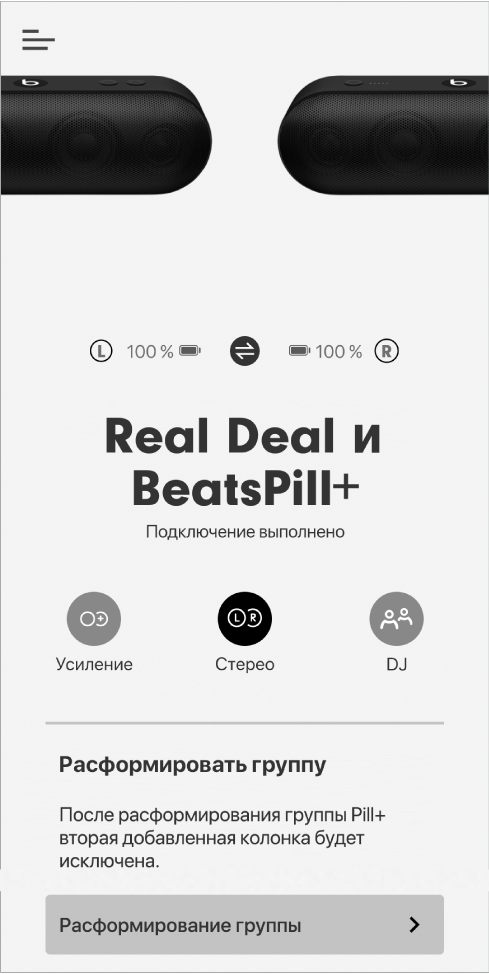 Экран программы Beats в режиме «Стерео»