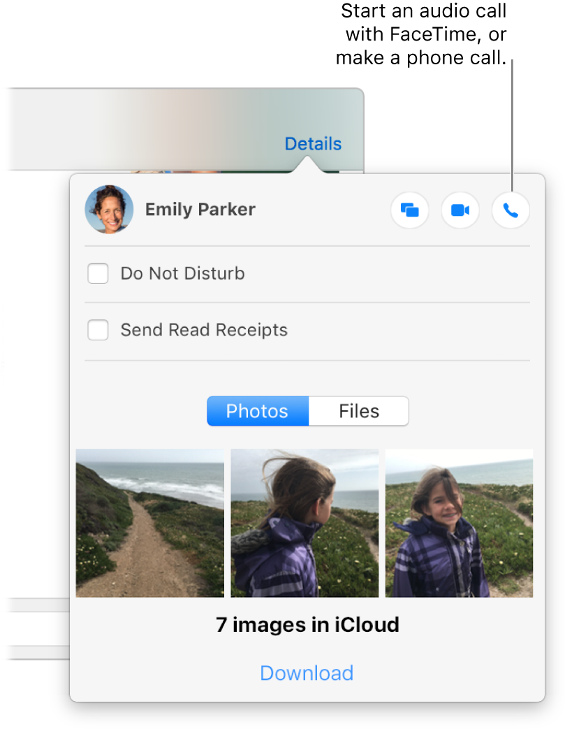 Make a FaceTime audio call using Messages on Mac Apple Support