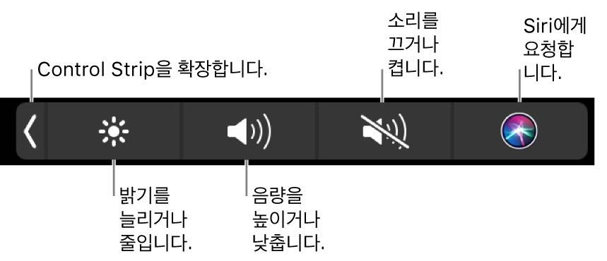 버튼이 있는 축소된 Control Strip, 왼쪽에서 오른쪽까지 Control Strip을 확장하여 디스플레이 밝기 및 음량을 늘리거나 줄이고 소리를 끄거나 켜고 Siri에게 물어볼 수 있습니다.