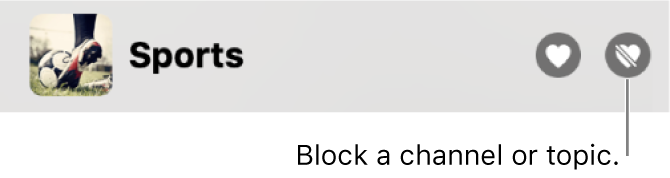 In the sidebar in the Apple News window, the Block icon next to a channel or topic.