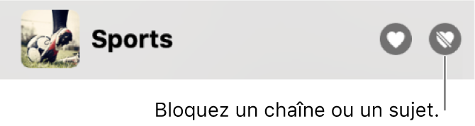 Dans la barre latérale de la fenêtre Apple News, l’icône Bloquer à côté d’une chaîne ou d’un sujet.