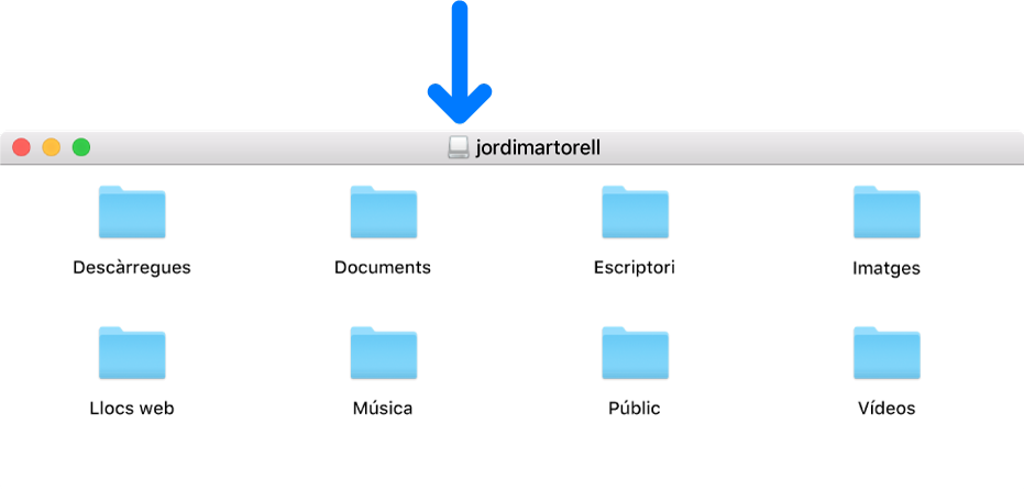 La icona petita de la barra de títol de la finestra de la imatge de disc que correspon a la carpeta d’inici d’un usuari eliminat.