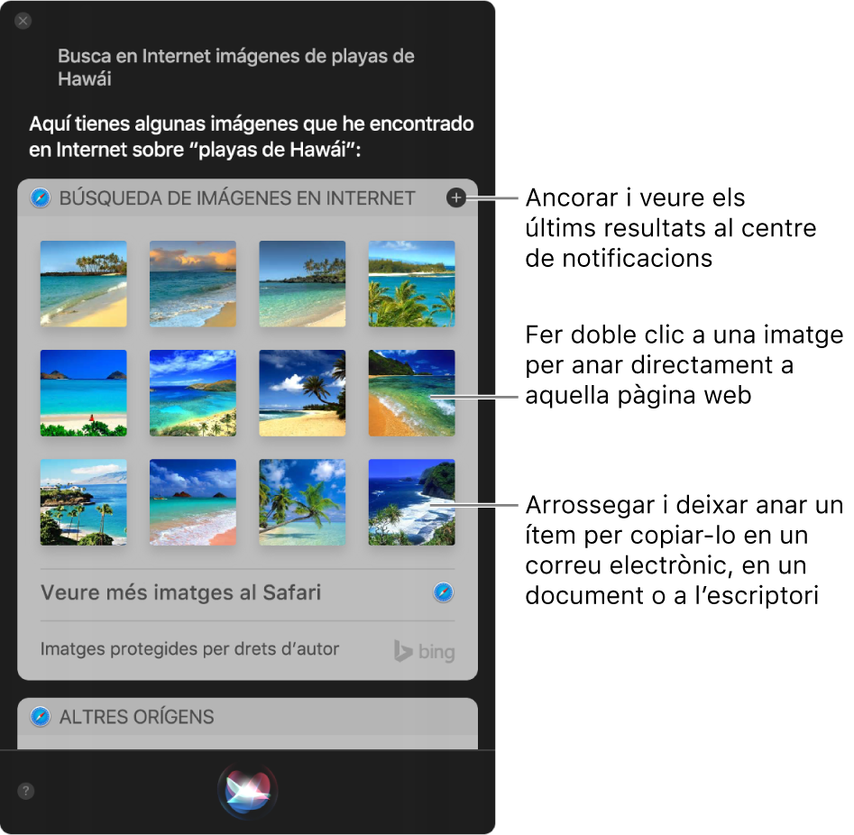 La finestra de Siri amb els resultats de Siri per a la petició “Busca imágenes de playas de Hawái en Internet”. Pots ancorar els resultats al centre de notificacions, fer doble clic en una imatge per obrir la pàgina web que la conté o arrossegar una imatge a un correu electrònic o document o a l’escriptori.