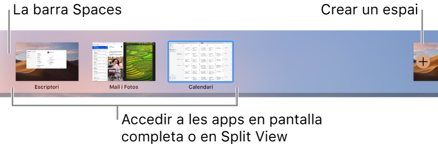 La barra de Spaces, que mostra un espai d’escriptori, apps a pantalla completa i en Split View i el botó Afegir per crear un espai.