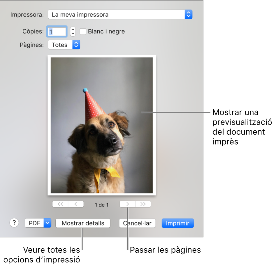 Les icones del menú desplegable Impressora indiquen l’estat de la impressora. El quadre de diàleg Imprimir mostra una petita previsualització de la tasca d’impressió. Fes clic al botó “Mostrar detalls” per veure totes les opcions d’impressió.