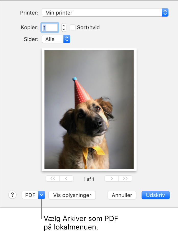 Klik på lokalmenuen PDF, og vælg Arkiver som PDF.