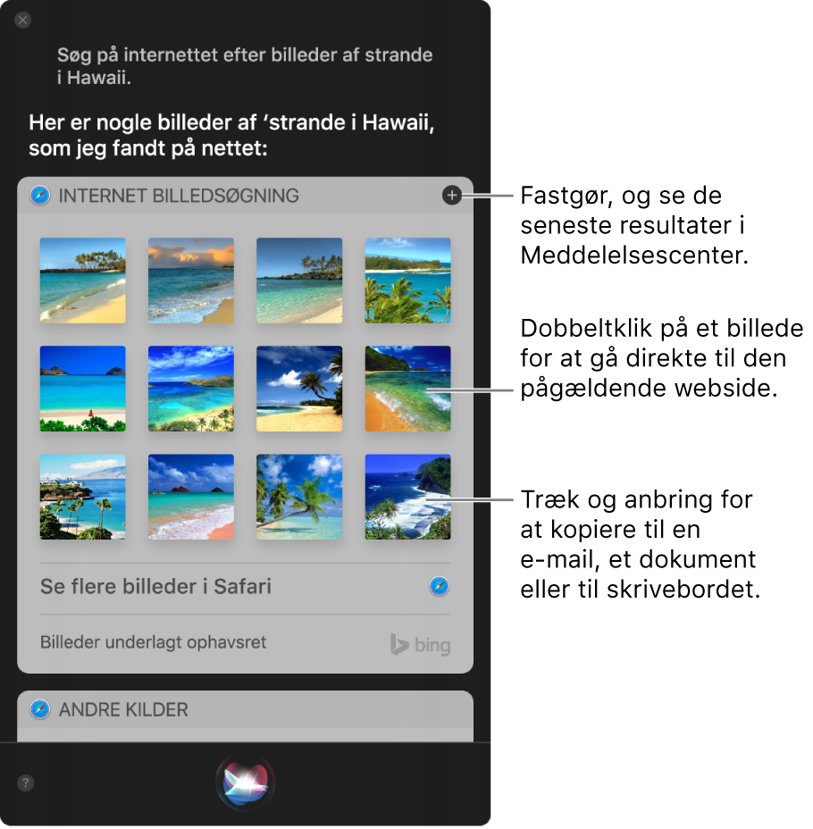 Siri-vinduet med Siri-resultater for anmodningen “Søg på nettet efter billeder af strande i Jylland”. Du kan fastgøre resultaterne til Meddelelsescenter, dobbeltklikke på et billede for at åbne den webside, der indeholder billedet, eller trække et billede til en e-mail eller et dokument eller til skrivebordet.