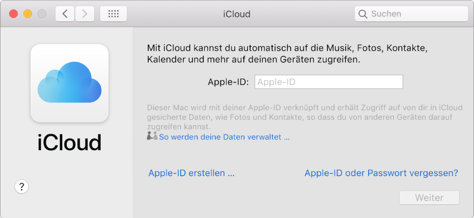 iCloud-Einstellungen, in denen du Name und Passwort einer Apple-ID eingeben kannst
