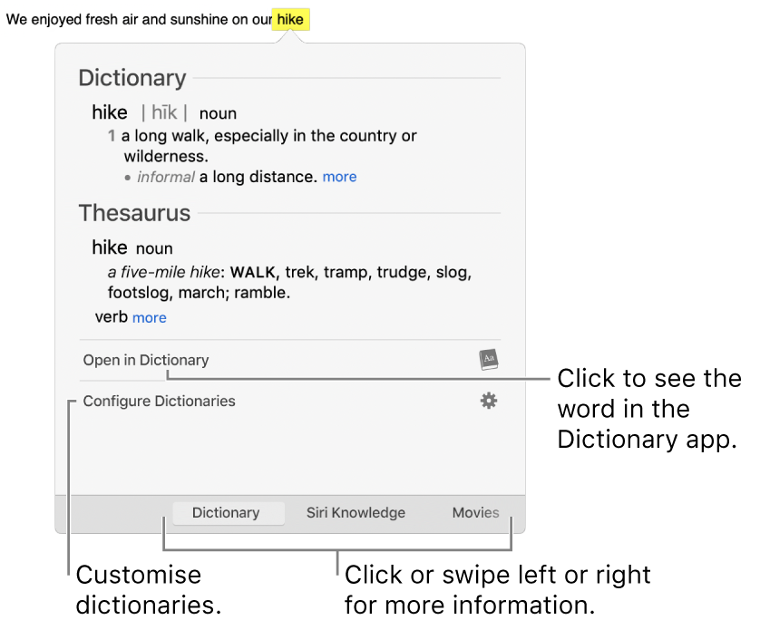 The Look Up window showing Dictionary and Thesaurus definitions for a word.