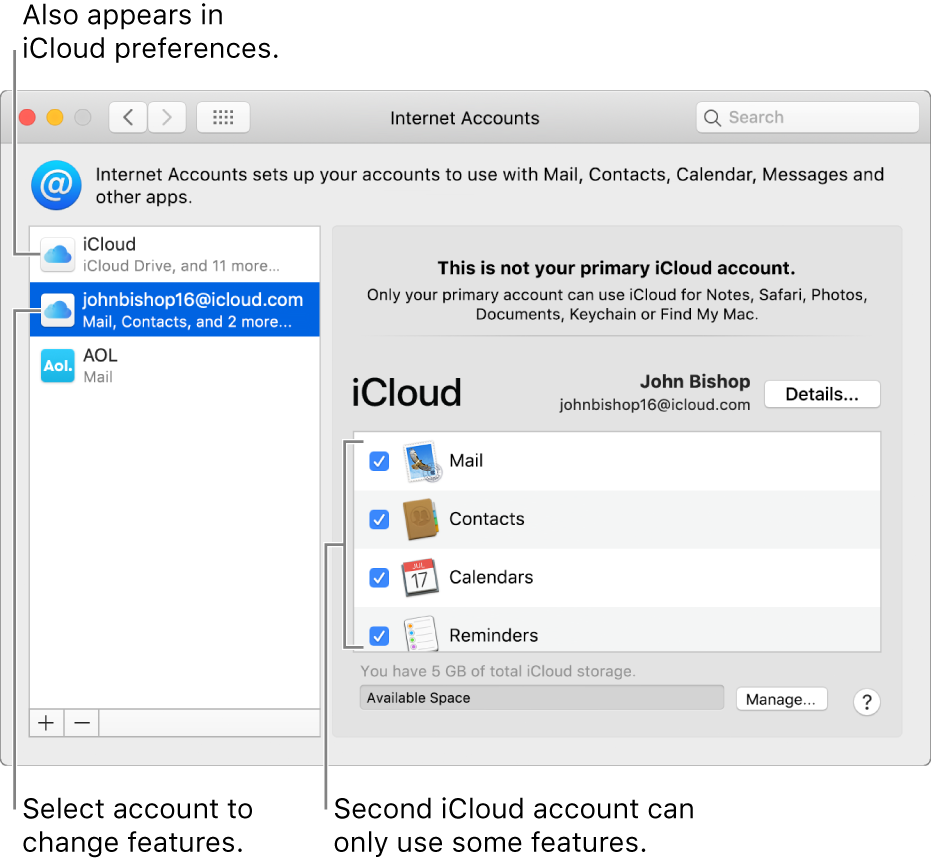 Internet Accounts preferences showing two iCloud accounts. The second account, selected in the list on the left, shows that it has only some features available.