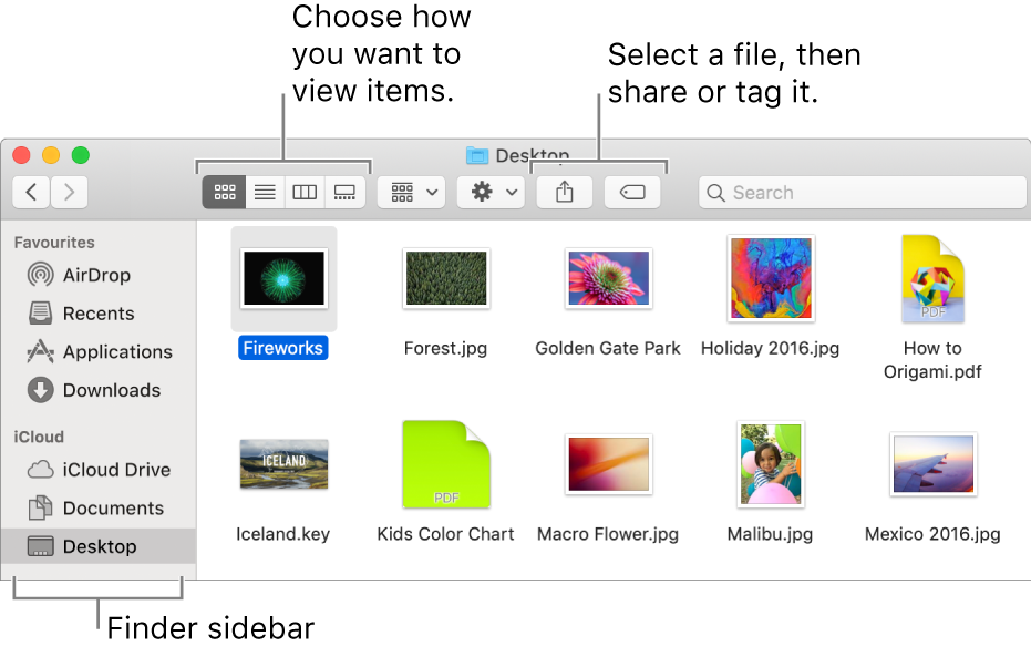 A Finder window with the Finder sidebar on the left. At the top left of the window are four buttons that you click to change the way you view items in the Finder window. To the right, are two buttons that you click to share or tag selected files.