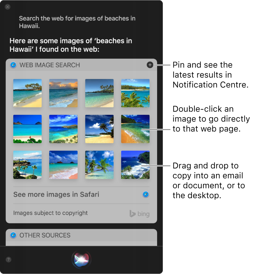 The Siri window showing Siri results to the request “Search the web for images of beaches in Hawaii”. You can pin the results to Notification Centre, double-click an image to open the web page that contains the image, or drag an image into an email or document or to the desktop.
