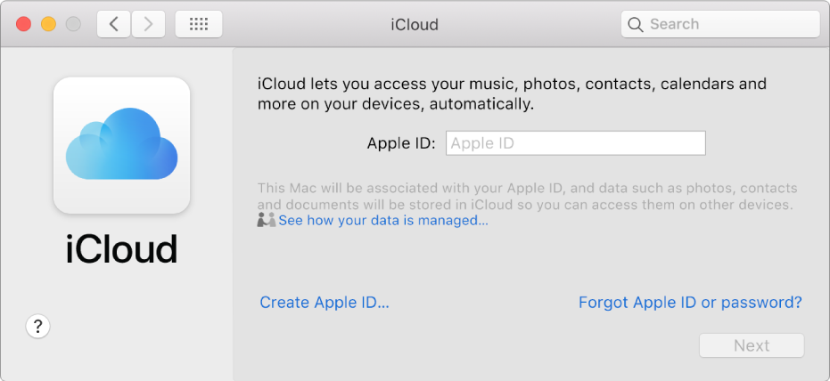 iCloud preferences, ready for entry of an Apple ID name and password.