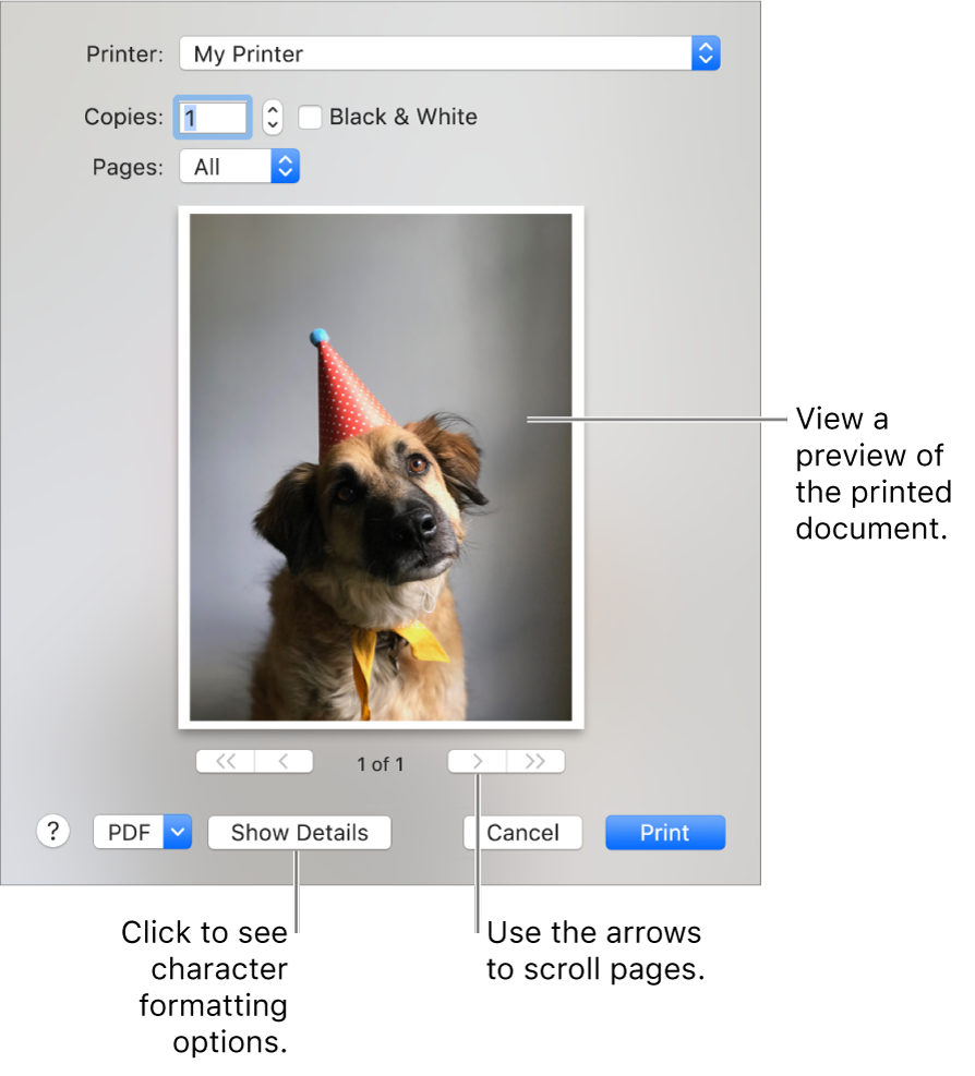 Icons in the Printer pop-up menu indicate the printer’s status. The Print dialogue shows a small preview of your print job. Click the Show Details button to see all print options.