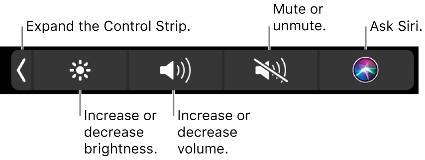 The collapsed Control Strip includes buttons — from left to right — to expand the Control Strip, increase or decrease display brightness and volume, mute or unmute, and ask Siri.