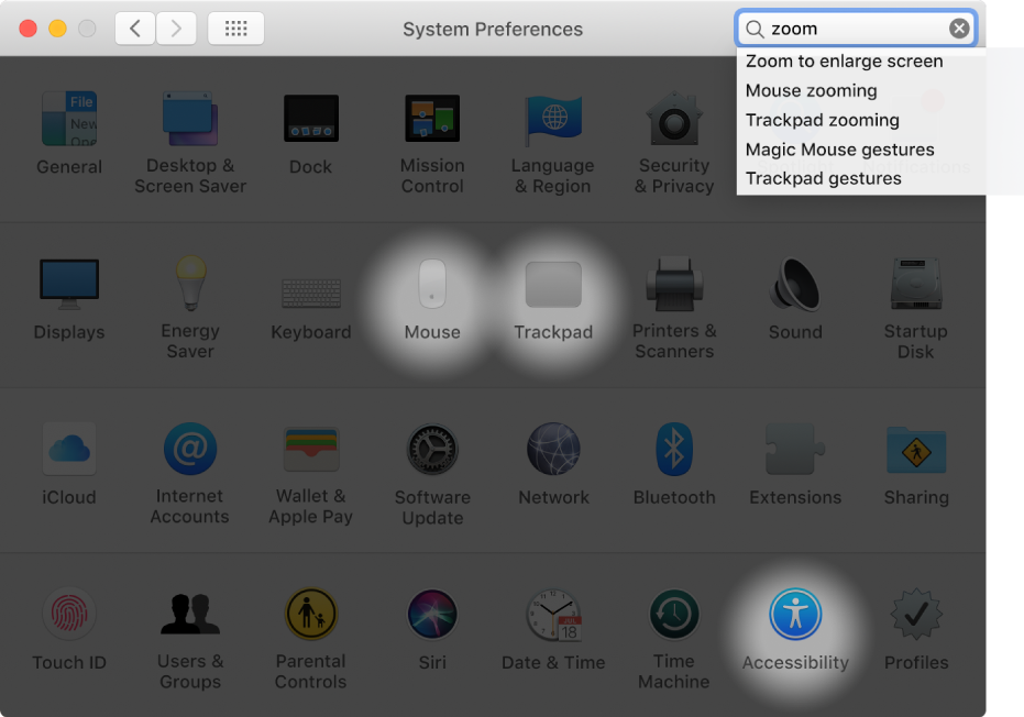 System preferences window showing “zoom” in the search field, a list of matching search results below the search field, and three preference icons highlighted.
