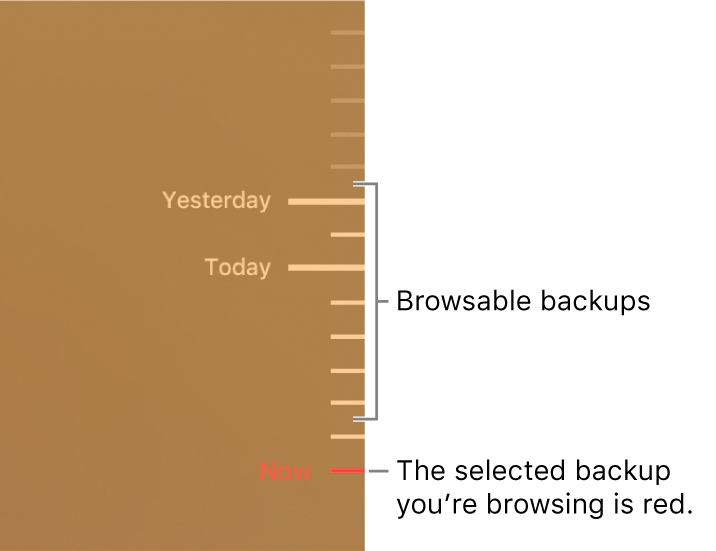 Ticks in the backup timeline. The red tick mark indicates the backup you’re browsing.