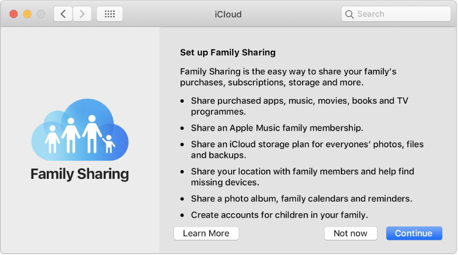 The Family Sharing setup pane in iCloud preferences.