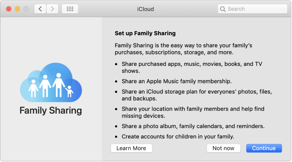 The Family Sharing set up pane in iCloud preferences.