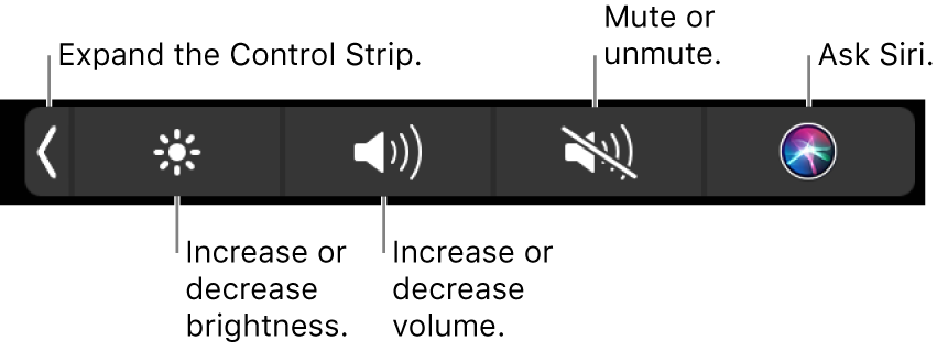 The collapsed Control Strip includes buttons—from left to right—to expand the Control Strip, increase or decrease display brightness and volume, mute or unmute, and ask Siri.