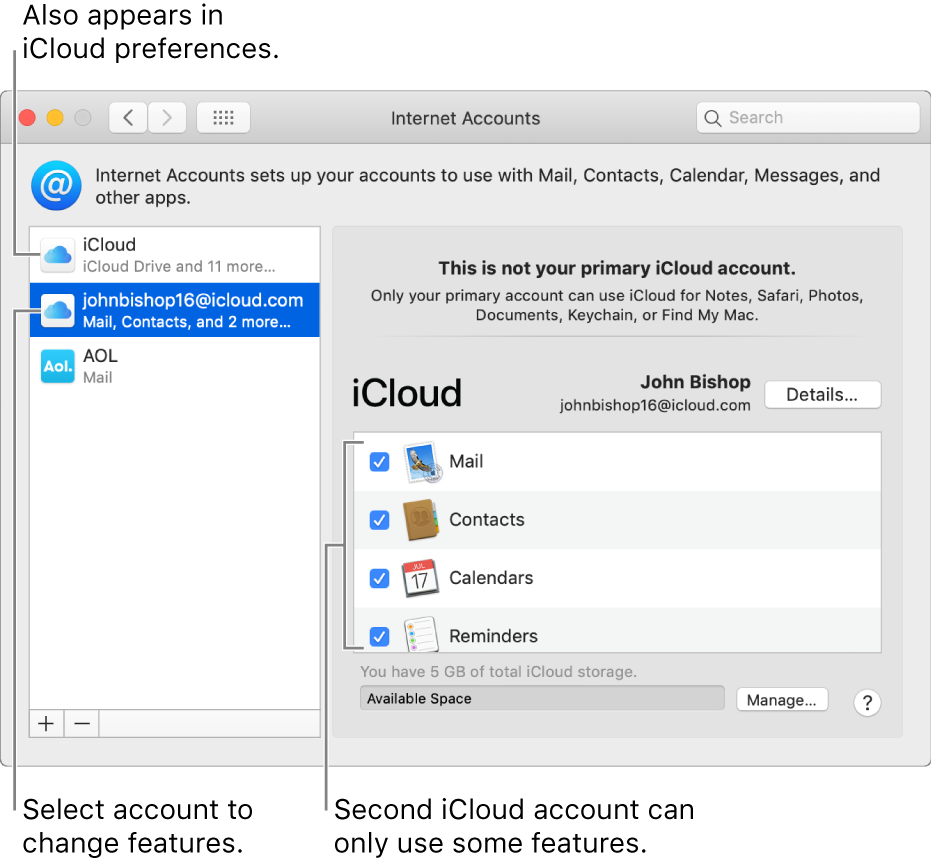 Internet Accounts preferences showing two iCloud accounts. The second account, selected in the list on the left, shows that it has only some features available.
