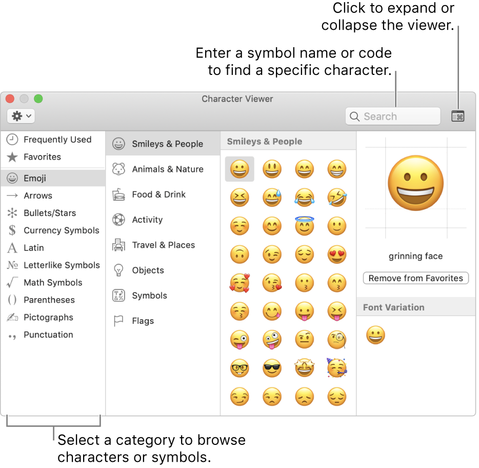 The Character Viewer window. Select a category on the left to browse characters or symbols. In the search field, enter a symbol name or code to find a specific character. In the upper-right corner, click to expand or collapse the viewer.