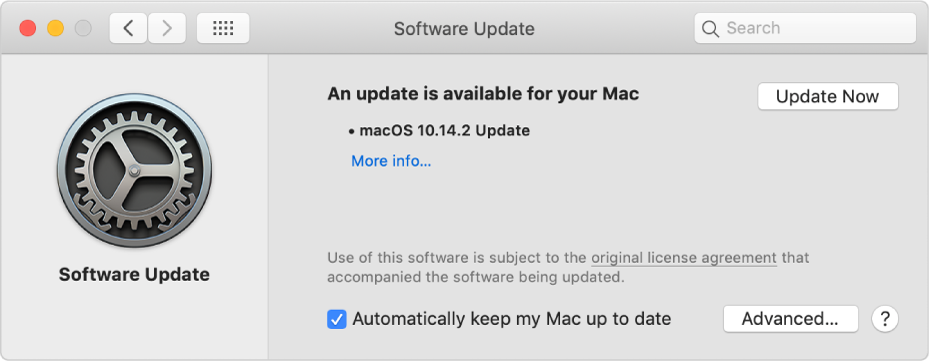 Software Update preferences showing that an update is available.