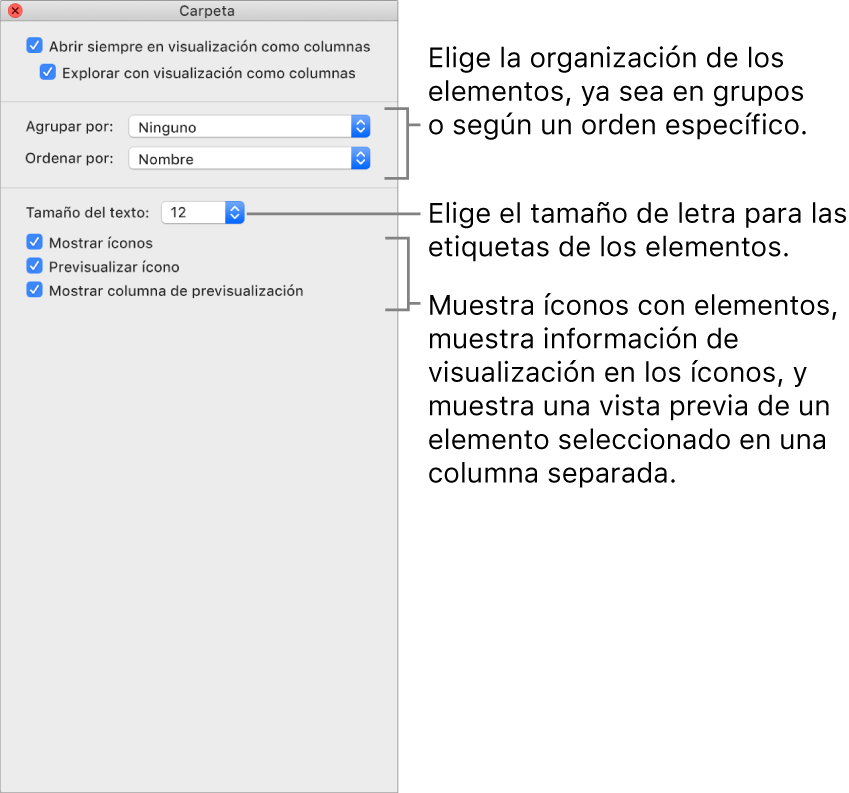 Opciones de visualización por columnas: puedes seleccionar cómo se organizan y ordenan los elementos en grupos, establecer el tamaño de los íconos, mostrar íconos con elementos, mostrar información de previsualización en íconos y mostrar una previsualización de elementos seleccionados en una columna separada.