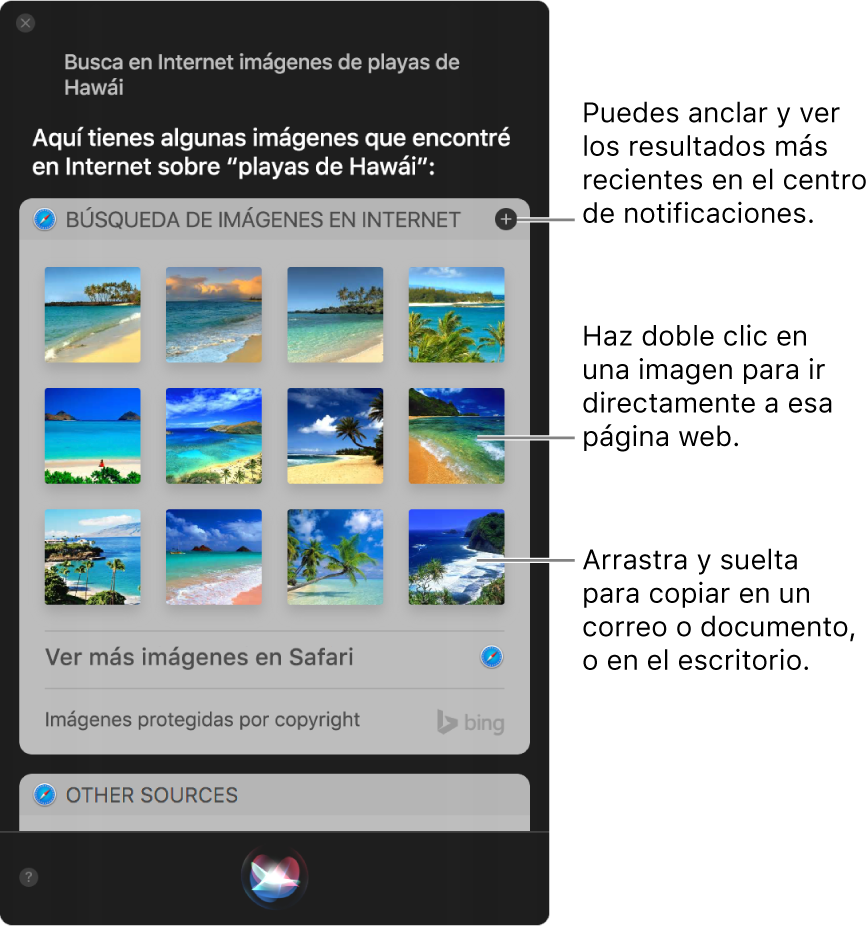 La ventana de Siri mostrando resultados de Siri para solicitar “Buscar en la web imágenes de playas en Hawaii”. Puedes anclar los resultados al “Centro de notificación”: haz doble clic a una imagen para abrir la página web que contiene la imagen o arrastra una imagen a un correo electrónico o documento o al escritorio.