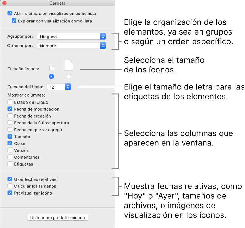 Opciones de visualización por listas: puedes seleccionar cómo se organizan y ordenan los elementos en grupos, establecer el tamaño de los íconos, seleccionar el tamaño de letra de las etiquetas de los elementos, seleccionar las columnas que aparecen en la ventana y mostrar fechas relacionadas tales como “Hoy” o “Ayer”, el tamaño del archivo y previsualizar imágenes en íconos.