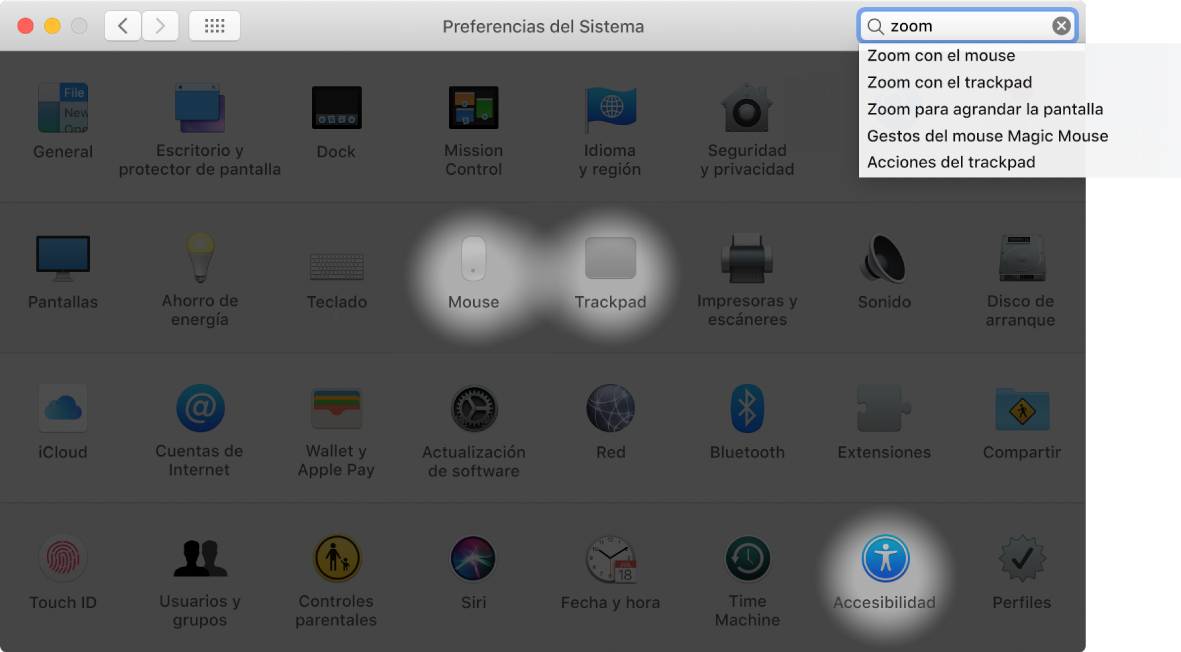 Ventana de Preferencias del Sistema con la palabra “zoom” en el campo de búsqueda, una lista de resultados coincidentes debajo del campo de búsqueda, y tres íconos de preferencias resaltados.