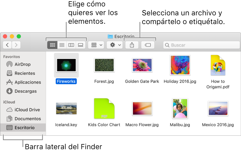 Una ventana del Finder con la barra lateral del Finder a la izquierda. En la parte superior izquierda de la ventana hay cuatro botones en los que puedes hacer clic para cambiar la forma de ver los elementos en la ventana del Finder. A la derecha hay dos botones en los que puedes hacer clic para compartir o marcar con etiqueta archivos seleccionados.