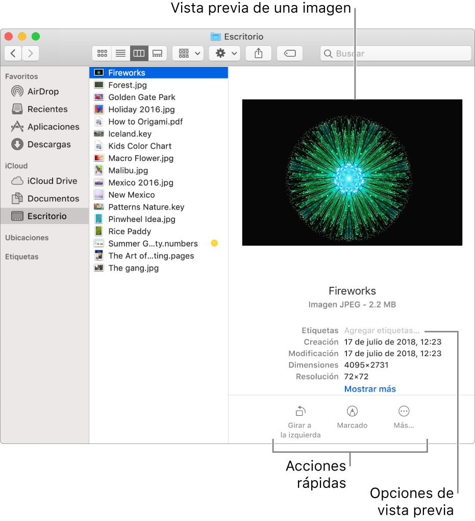 Una ventana del Finder mostrando la barra lateral del Finder a la izquierda y una imagen seleccionada en la parte de enmedio de la ventana. En la derecha, el panel de Previsualizacin muestra cómo se ve una imagen en la parte superior del panel, la información de la imagen debajo de eso y los botones de Acciones Rápidas en la parte inferior.