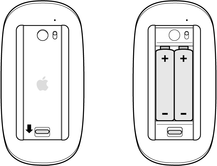 Vistas de un compartimento abierto y cerrado de las baterías de un mouse con las baterías en la posición correcta en la vista del compartimento abierto.