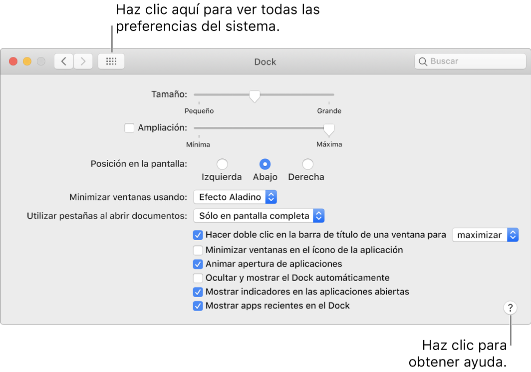 Haz clic en “Mostrar todo” para ver todos los íconos de preferencias. Haz clic en el botón Ayuda para obtener más información sobre el panel.