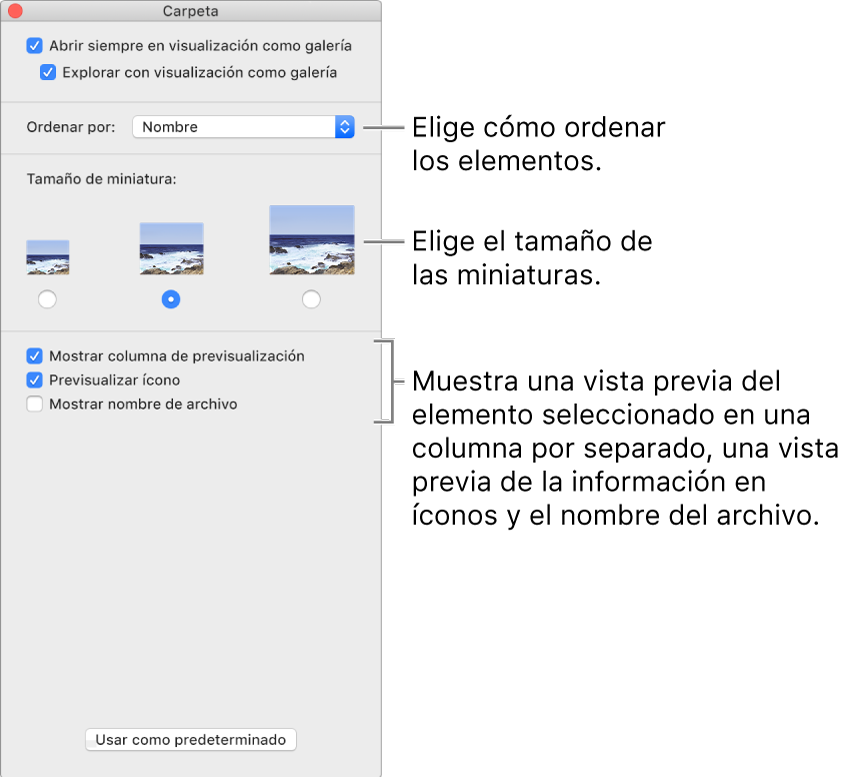 Opciones de visualización como galería: puedes seleccionar cómo se ordenan los elementos, establecer el tamaño de las miniaturas, mostrar la previsualización de un elemento seleccionado en una columna separada, mostrar información de previsualización en íconos y mostrar el nombre del archivo.