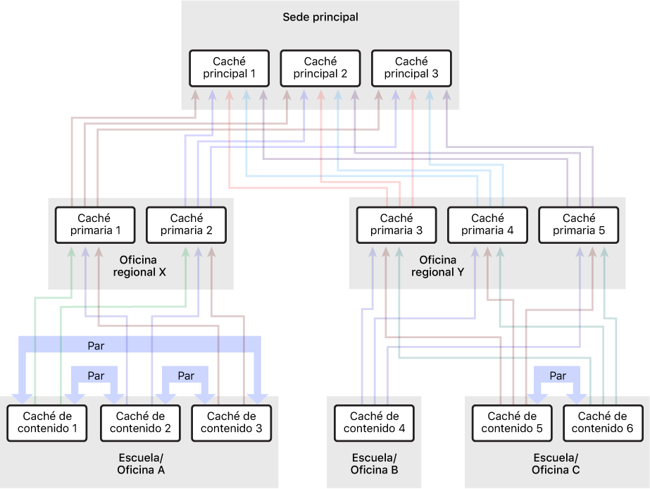 Una red con numerosas cachés de contenido, organizada en una jerarquía de tres niveles con cachés de contenido principal y principal de principal. Solo las cachés de contenido del nivel más bajo de la jerarquía tienen pares definidas.