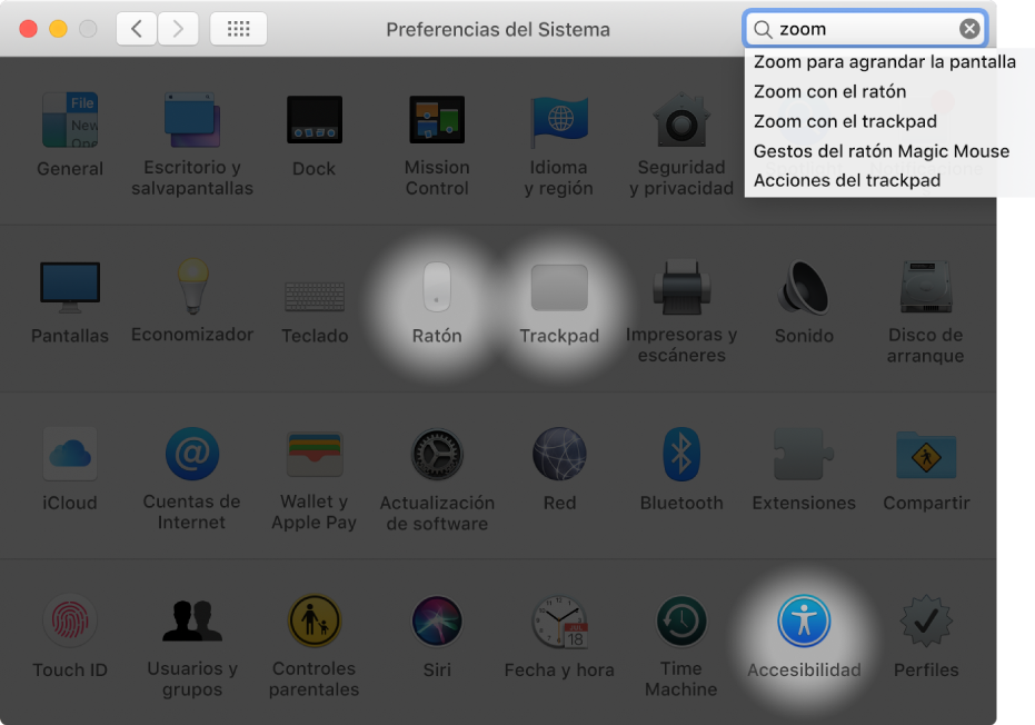 Venta de Preferencias del Sistema que muestra “zoom” en el campo de búsqueda, una lista de resultados de búsqueda coincidentes bajo el campo de búsqueda y tres iconos de preferencias resaltados.