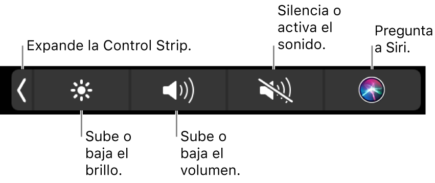 La Control Strip contraída incluye botones, de izquierda a derecha, para expandir la Control Strip, aumentar o reducir el brillo de la pantalla y el volumen, activar o desactivar el sonido, y hacer peticiones a Siri