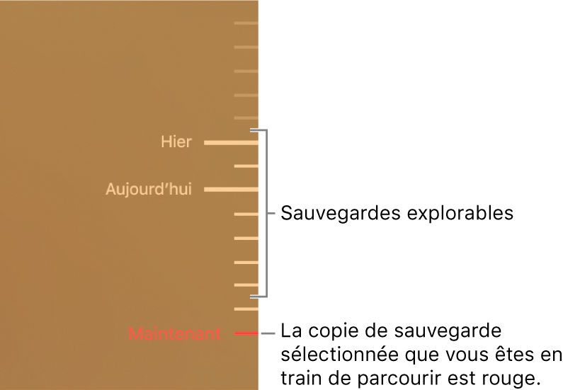 Graduations de la chronologie de sauvegarde. La gradation rouge indique la sauvegarde que vous consultez.